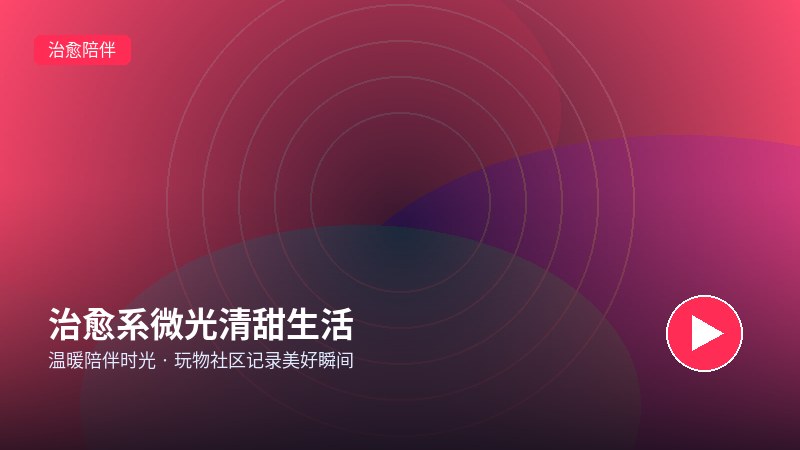 套路直播